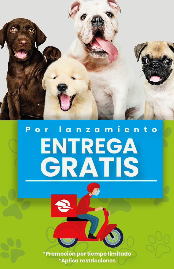 Entrega gratis